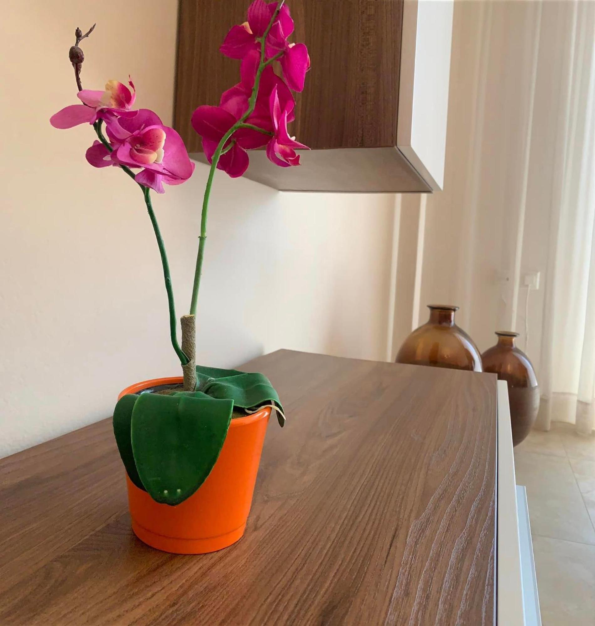 Αpartments Anna Deluxe Apartment Kavála Ngoại thất bức ảnh